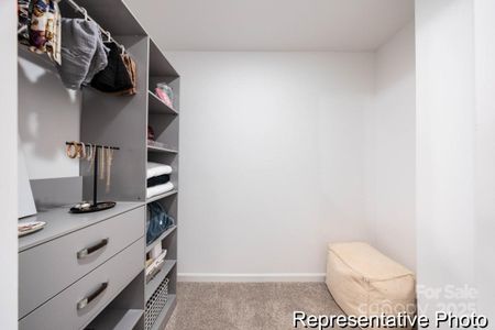 New construction Townhouse house 11800 Avocet St, Unit 57, Charlotte, NC 28215 - image