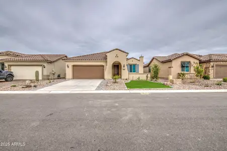 New construction Single-Family house 7688 W Cactus Wren Wy, Florence, AZ 85132 - image