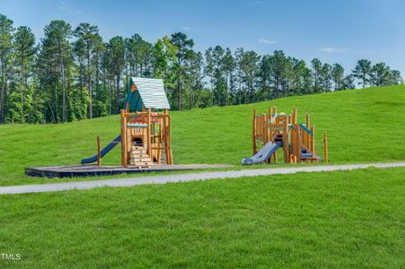 New construction Single-Family house 1565 Goldfinch Perch Ln, Knightdale, NC 27545 Virginia- photo 54 54