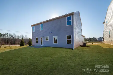 New construction Single-Family house 10610 Tuff Ln, Davidson, NC 28036 null- photo 23 23