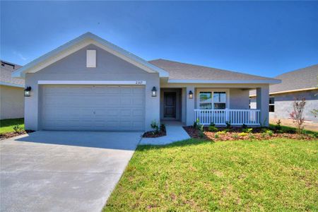 New construction Single-Family house 2382 Friendly Confines Loop, Davenport, FL 33837 null- photo 0