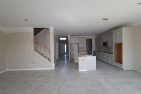 New construction Single-Family house 38338 Tobiano Loop, Dade City, FL 33525 Mira Lago- photo 80 80