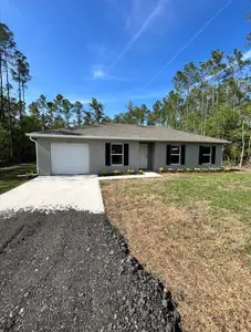 New construction Single-Family house 4310 Alvin St, Hastings, FL 32145 plan Phoenix - image