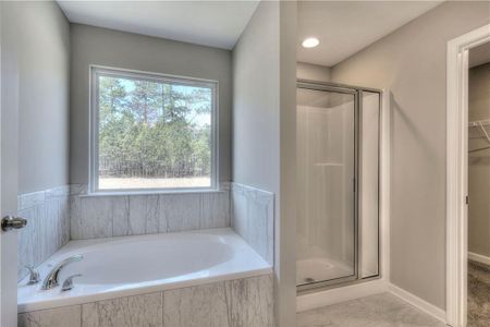 New construction Single-Family house 169 Elivia Way, Dallas, GA 30132 null- photo 25 25