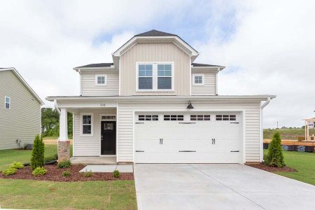 New construction Single-Family house 80 Ballast Point, Clayton, NC 27520 - photo 3 3