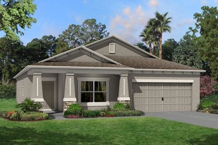 New construction Single-Family house 10805 Rolling Moss Road, Tampa, FL 33647 - photo 0