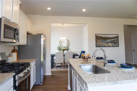 New construction Single-Family house 5 Briarwood Dr E, Dawsonville, GA 30534 - image 5