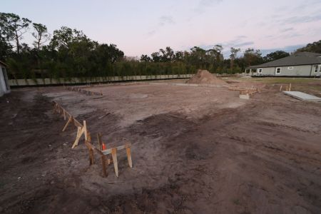 New construction Single-Family house 20267 Oriana Loop, Land O' Lakes, FL 34638 Newport II Bonus- photo 5 5