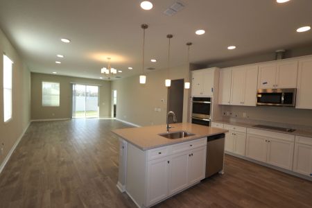 New construction Single-Family house 3087 Adams Cross Dr, Zephyrhills, FL 33540 Picasso Bonus- photo 139 139