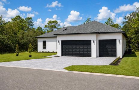 New construction Single-Family house 13 Nemesia Ct E, Homosassa, FL 34446 - image