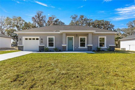 New construction Single-Family house 15248 Se 61St Ct, Summerfield, FL 34491 - image
