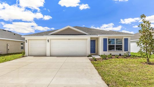 New construction Single-Family house 17213 Wheatberry Blvd, Parrish, FL 34219 plan Madison - image