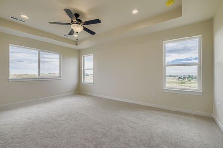 New construction Single-Family house 8441 Dines Blvd, Colorado Springs, CO 80908 plan Plan C412 - image 19