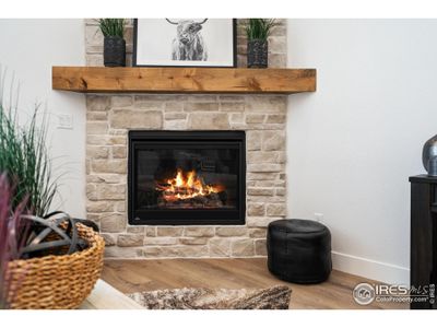 New construction Single-Family house 838 Loess Ln, Windsor, CO 80550 plan Franklin - image 20