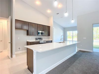 New construction Single-Family house 16 Egan Dr, Palm Coast, FL 32164 - image 14