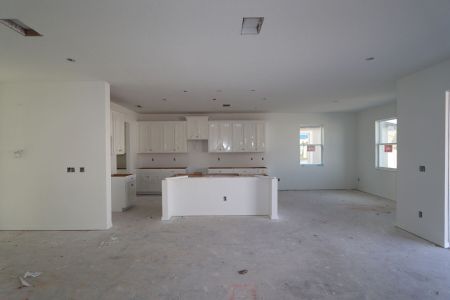 New construction Single-Family house 4877 Foxglove Cir, Lakeland, FL 33811 Alenza- photo 74 74