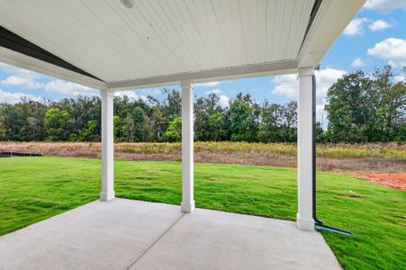 New construction Single-Family house 509 Charlie Pl, White House, TN 37188 plan The Winston - image 3