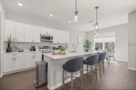 New construction Single-Family house 17414 Sw 17Th Cir, Ocala, FL 34473 - image 5