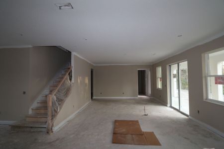 New construction Single-Family house 20125 Oriana Loop, Land O' Lakes, FL 34638 Santina II- photo 119 119