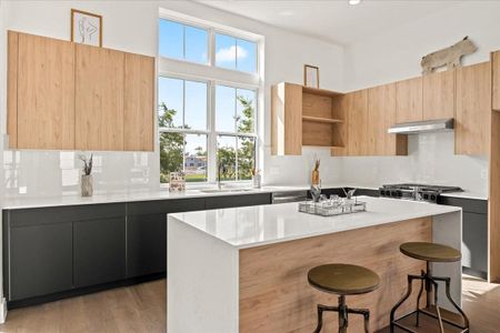 New construction Single-Family house 2855 Decker Pl, Houston, TX 77003 - image 9