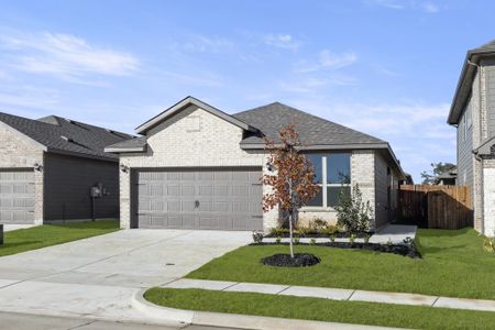 New construction Single-Family house 3315 Dahlia Dr, Melissa, TX 75454 plan Birch - image 7
