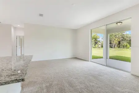 New construction Single-Family house 3788 Watercliff Cir, Grand Island, FL 32735 - image 6