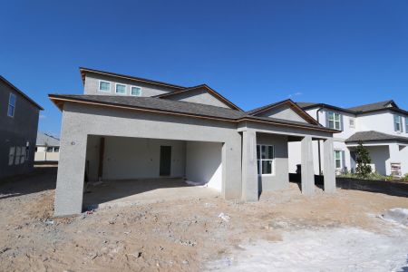 New construction Single-Family house 38413 Pindos Dr, Dade City, FL 33525 Picasso Bonus- photo 87 87