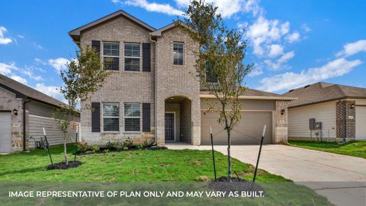 New construction Single-Family house 1008 Chachalaca Ct, Seguin, TX 78155 null- photo 8 8