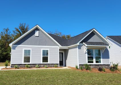 New construction Single-Family house 258 Darby Meadow Ln, Ridgeville, SC 29472 - image