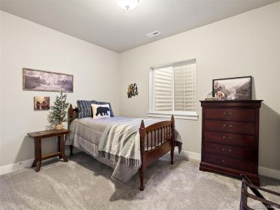 New construction Single-Family house 16015 Mountain Flax Dr, Monument, CO 80132 - image 14