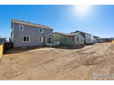 New construction Single-Family house 4431 Trader St, Timnath, CO 80547 Ontario- photo 2 2