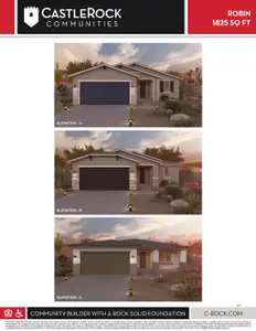 New construction Single-Family house 17535 N Bolerno Dr, Maricopa, AZ 85138 plan Robin - image