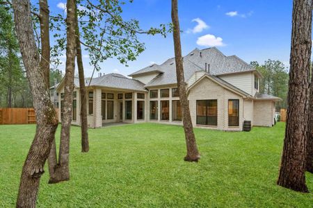 New construction Single-Family house 15412 Pinnacle Vistas Ln, Conroe, TX 77302 plan Reagan 3903 - image 3