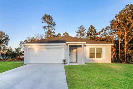 New construction Single-Family house 2693 Sw 155Th Ln, Ocala, FL 34473 - image
