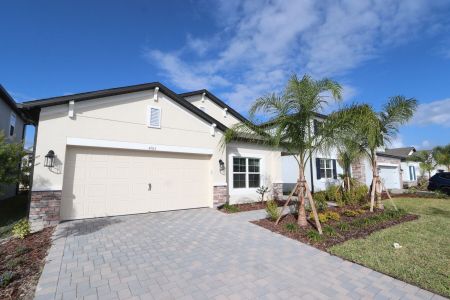 New construction Single-Family house 4763 Beachrose Way, Lakeland, FL 33811 Picasso- photo 10 10