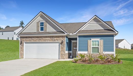 New construction Single-Family house 21 Patriot Pl, Smithfield, NC 27577 null- photo 4 4