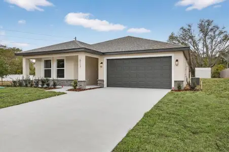 New construction Single-Family house 6117 Alderwood St, Spring Hill, FL 34606 - image