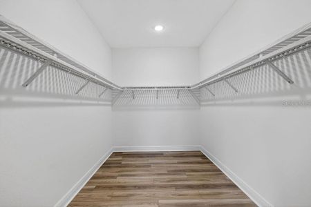 New construction Single-Family house 3951 Kennebunk Lp, Mount Dora, FL 32757 - image 16