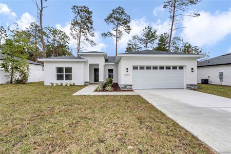 New construction Single-Family house 13177 Sw 67Th Ave, Ocala, FL 34473 - image