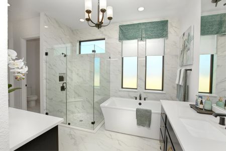 Audubon 70 by Drees Custom Homes in Magnolia - photo 36 36