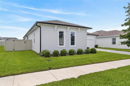 New construction Single-Family house 8634 Drummer Plank Dr, Wesley Chapel, FL 33545 plan Egret 1 - image
