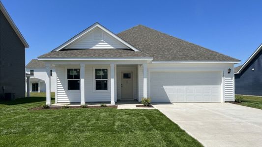 New construction Single-Family house 1021 Pampas Grass Dr, Castle Hayne, NC 28429 plan Aria - image