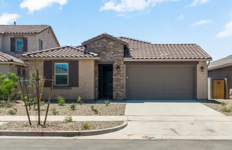 New construction Single-Family house 1439 W Treasure Trl, Apache Junction, AZ 85120 plan Rimini - image