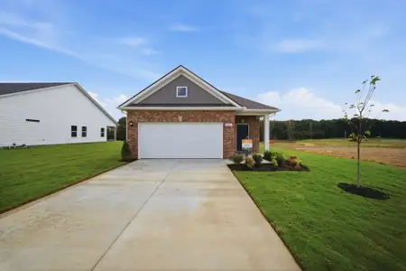 New construction Single-Family house 217 Trenton Wy, Chapel Hill, TN 37034 - image