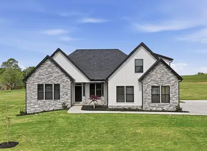 New construction Single-Family house 36 Skylane Ct, Columbus, NC 28722 - image