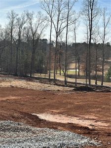 New construction Single-Family house 3030 Fairway Dr, Villa Rica, GA 30180 3119- photo 6 6