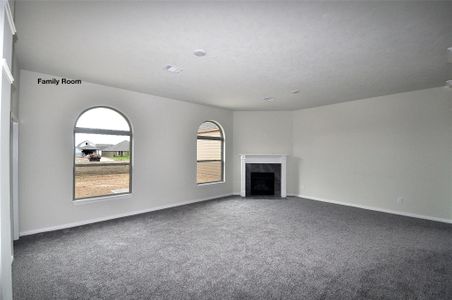 New construction Single-Family house 2207 Dorado St, League City, TX 77539 - image 14