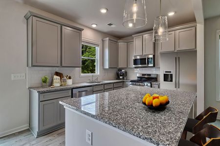 New construction Single-Family house 20 Healy Wy, Blythewood, SC 29016 plan Lance - image