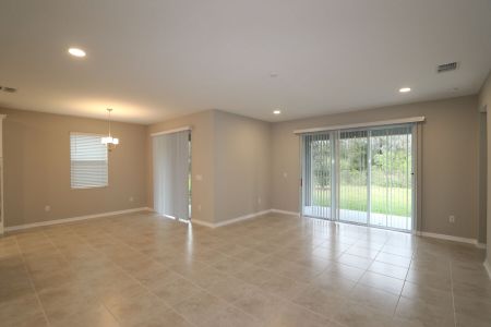 New construction Single-Family house 5046 Bromeliad Ave, Wimauma, FL 33598 Mira Lago- photo 40 40