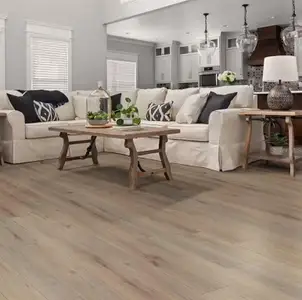 New construction Single-Family house 274 Blossoming Lily Ave, Ruskin, FL 33570 plan Serendipity - image 3